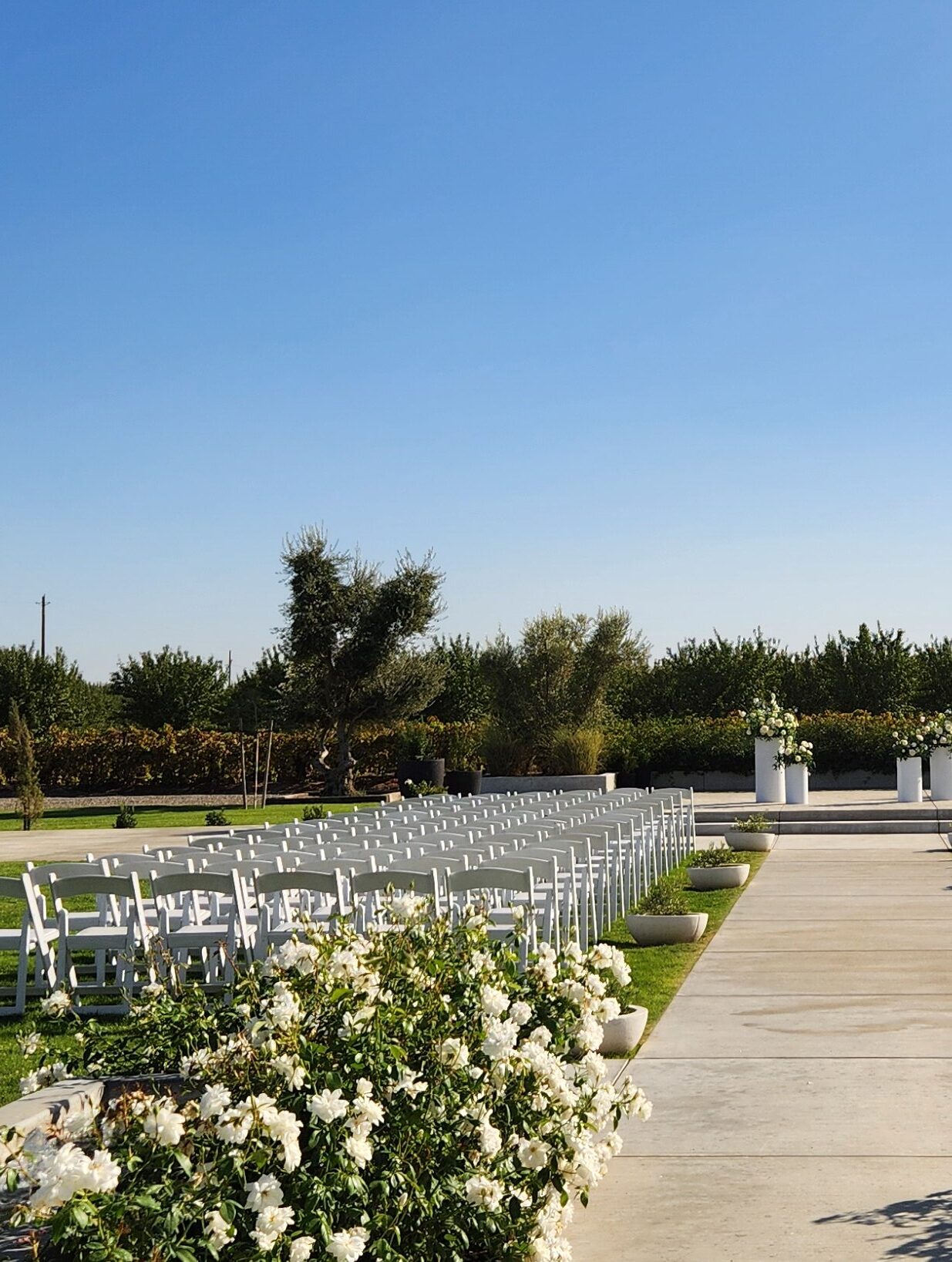 wedding ceremony at Evanelle Vineyards in Madera CA